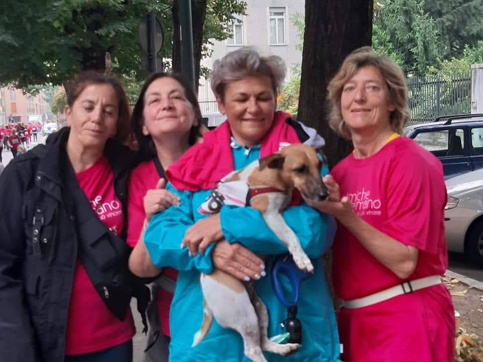 CAMMINATA A PADERNO DUGNANO – foto 90