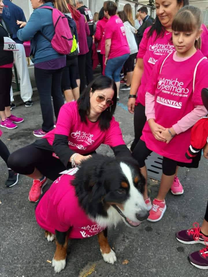 CAMMINATA A PADERNO DUGNANO – foto 93