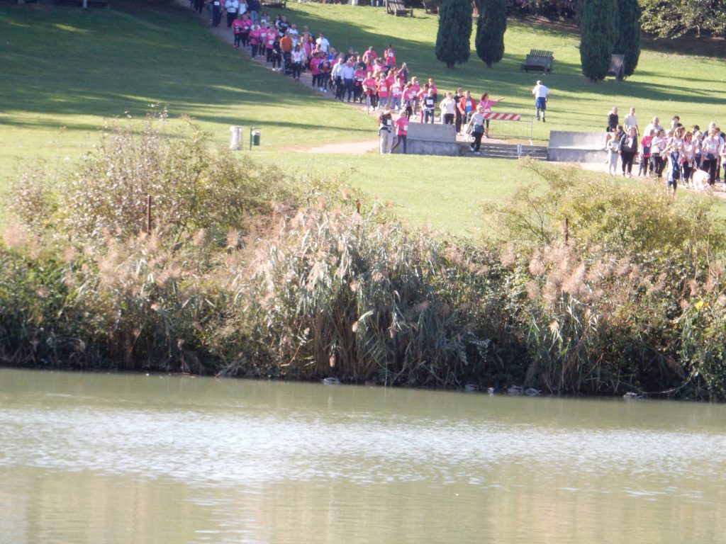 CAMMINATA DI BENEFICENZA – foto 12
