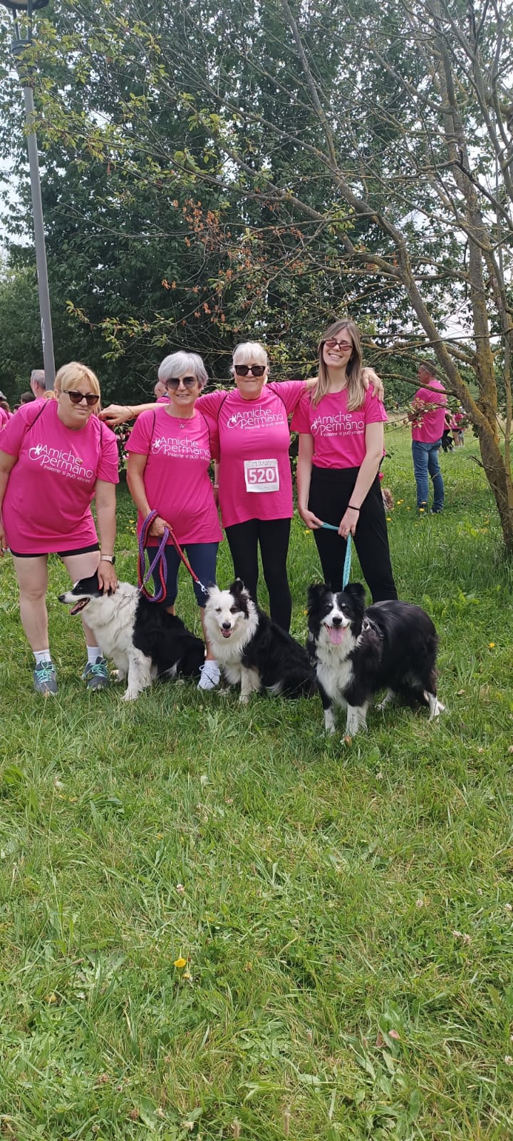 FIT & FUN WALK 2025 – foto 7